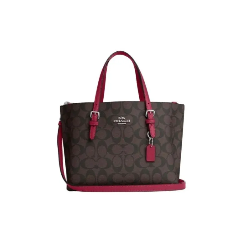 COACH Mollie Handbags-0