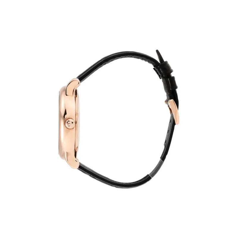 EMPORIO ARMANI Unisex Couple Watch Watch-4