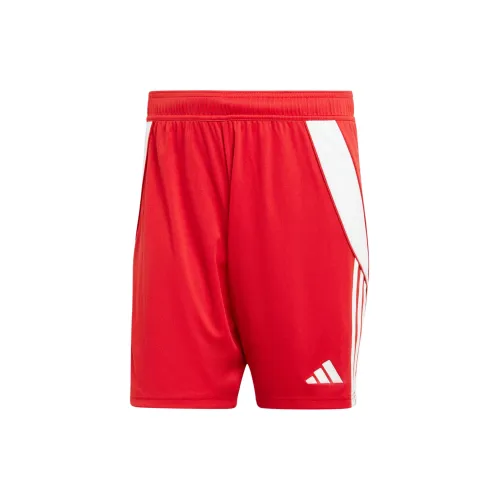 adidas Men Football shorts