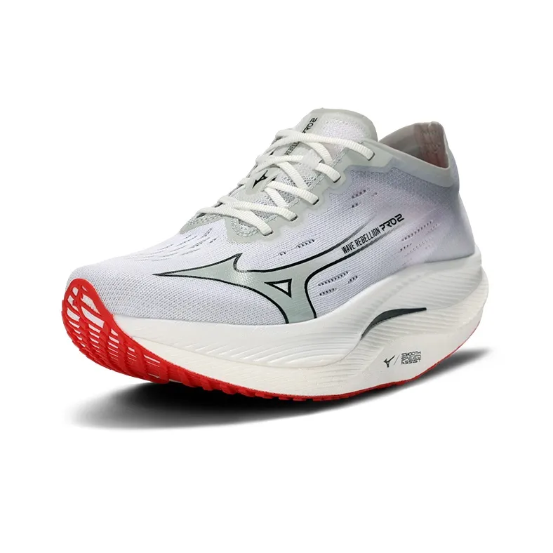 Mizuno Wave Rebellion Pro 2 'Grey'-2