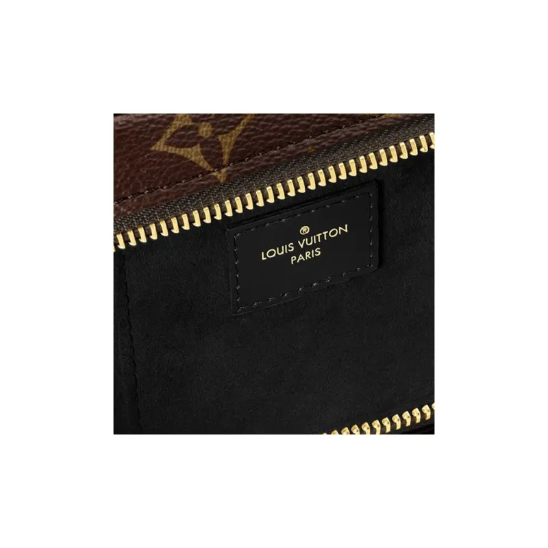 LOUIS VUITTON Vanity Chain Pouch Monogram-4