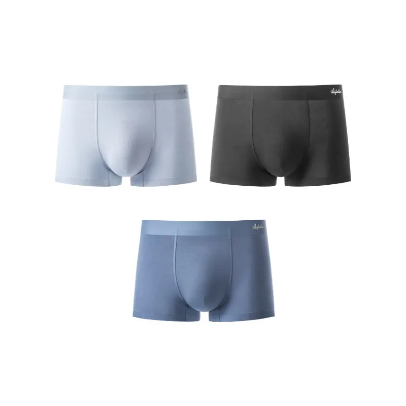 AUGTARLION Underpants Men's 3 Pack-3