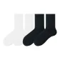 Milk White+Milk White+Black+Black