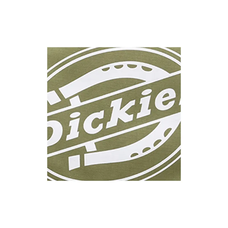 Dickies Fabric Backpack Regular Unisex Green-2