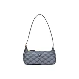 Bag+Dust Bag