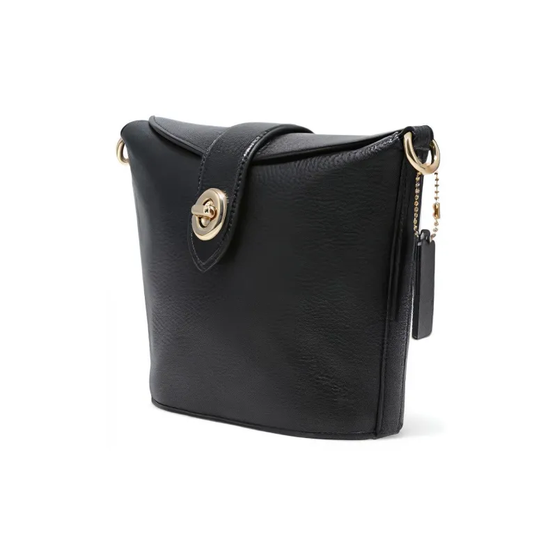 COACH Addie Grain Leather Box Bag, French Fries Bag, Shoulder Bag, Crossbody Bag Women's Black-1