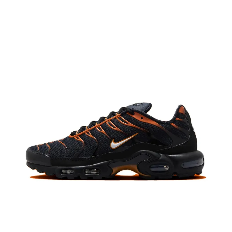 Nike Air Max Plus Dark Obsidian Monarch-0