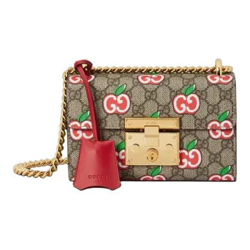 GUCCI Canvas With Leather Box Bag Crossbody Bag Shoulder Bag Women's Ebony & Red