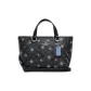 Bag+Dust Bag