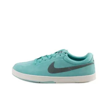 Nike Sb Eric Koston Paradise Aqua