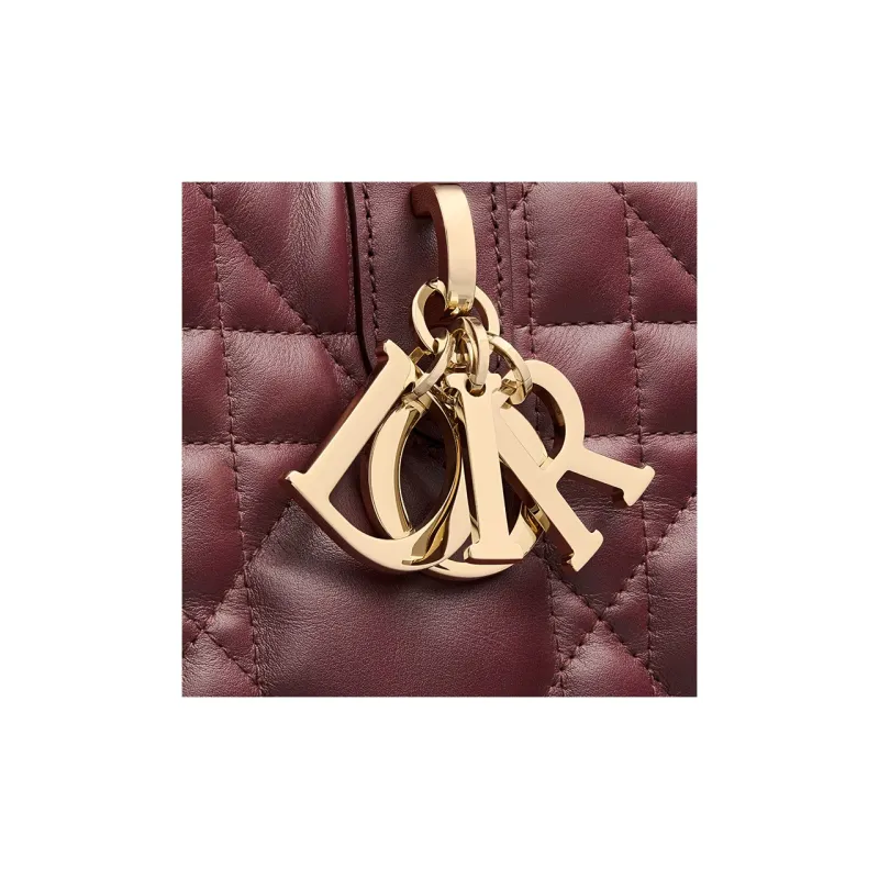 DIOR Calfskin One Shoulder Handbags Medium Size Women's Burgundy-6