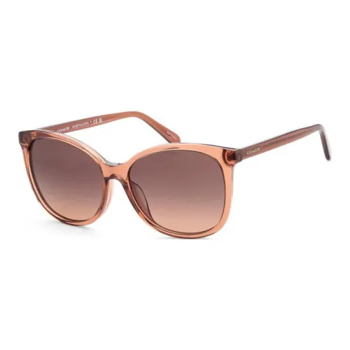 COACH Acetate Irregular Shape Sunglasses Women's Pink