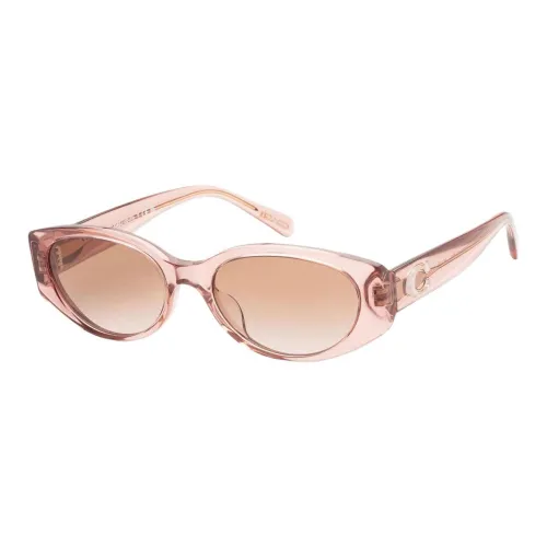 COACH Acetate Oval Sunglasses Women's Pink