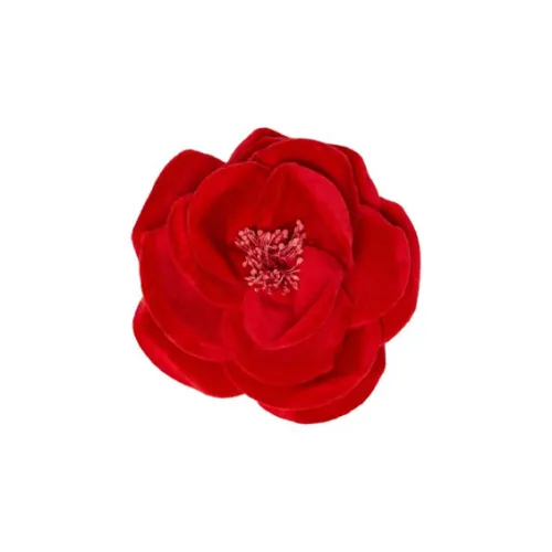 MaxMara Brooches Women's