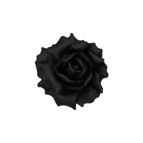 SAINT LAURENT Brooches Women's Black