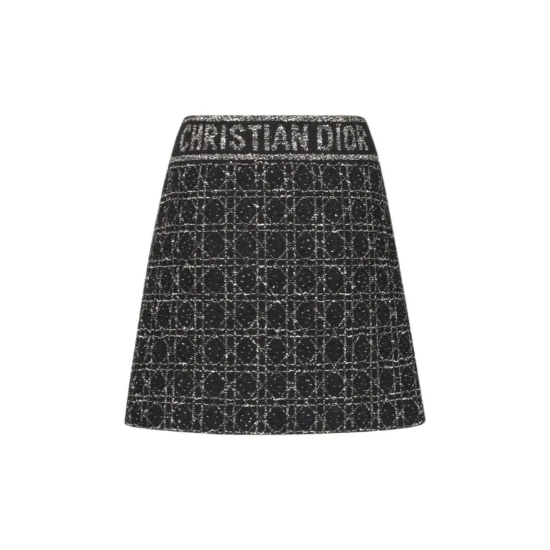 DIOR SS24 Casual Short Skirts Women's Black-1