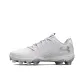 White/Metallic Silver