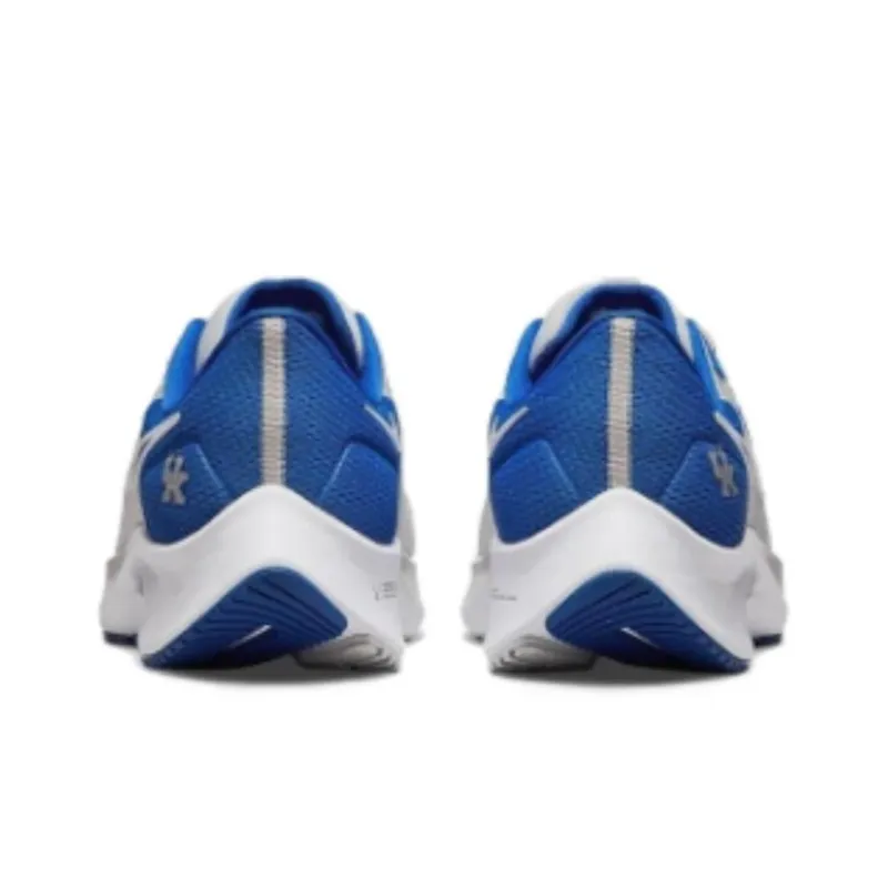 Nike Air Zoom Pegasus 38 Kentucky-3