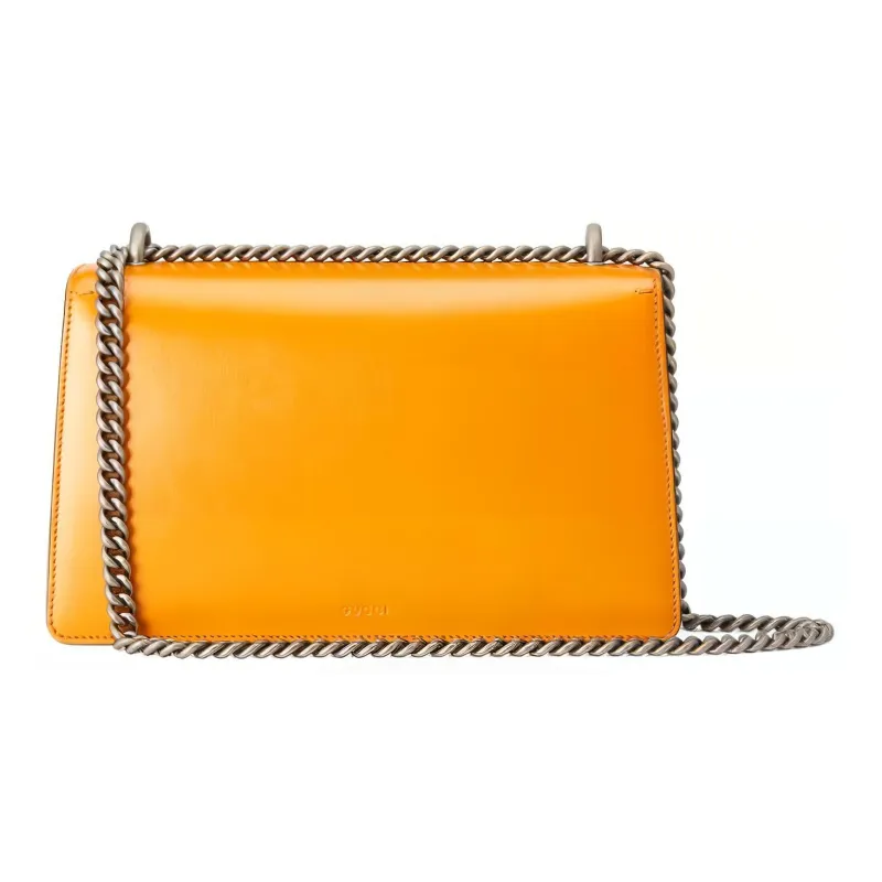 GUCCI Dionysus Leather Chain Bag Handbag, Crossbody Bag, Shoulder Bag Women's-2