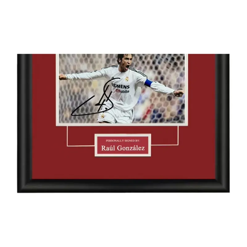 Yi Shot Photo SA Certificate Included Framed Collection-2