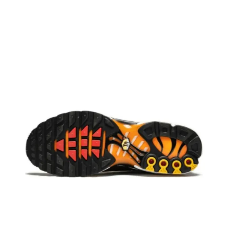 Nike Air Max Plus Sunset 1998-4