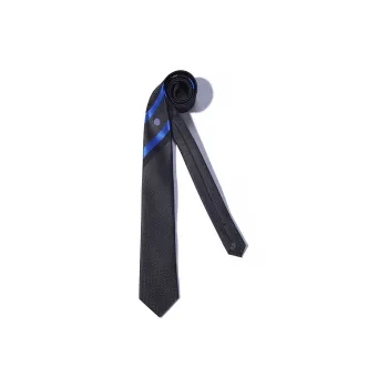GIEVES CHARLES Mulberry Silk Ties Men's