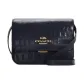 Bag+Dust Bag