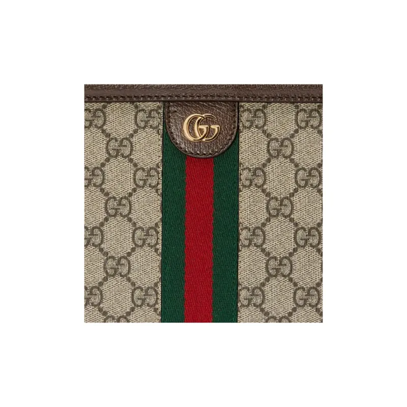 GUCCI Ophidia Handbags-8