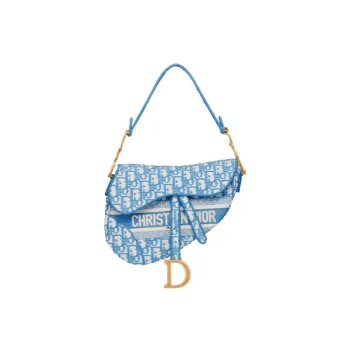 DIOR Saddle Handbags