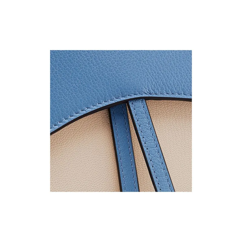 DIOR Saddle Sheepskin Saddle Bag Chain Wallet Handbag Shoulder Bag Crossbody Bag Women's Nude/Klein Blue-6