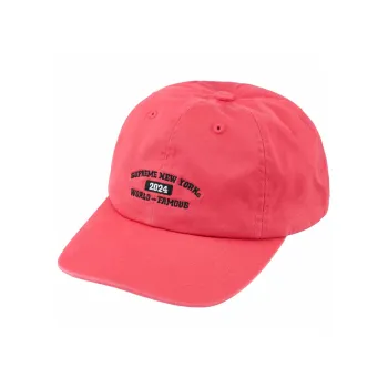 Supreme New York Arc 6 Panel