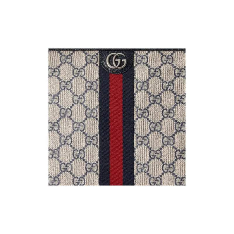 GUCCI Canvas With Leather Clutch Unisex Blue-7