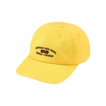 Supreme New York Arc 6 Panel