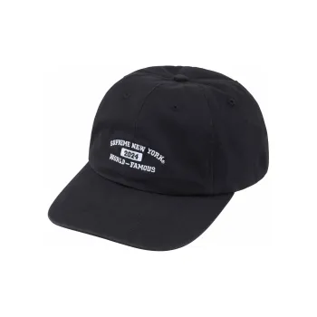 Supreme New York Arc 6 Panel