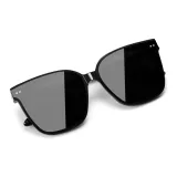 Black (Polarized)