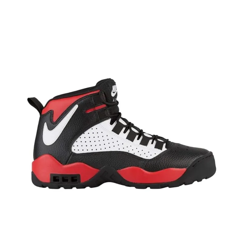 Nike Air Darwin Bulls-1