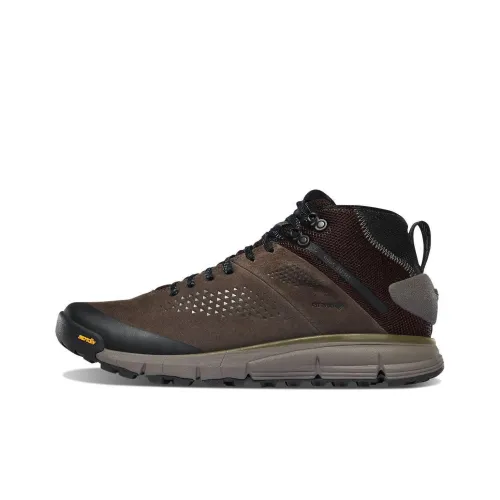 Danner Trail 2650 Outdoor Shoes Men Low-Top Black/Brown