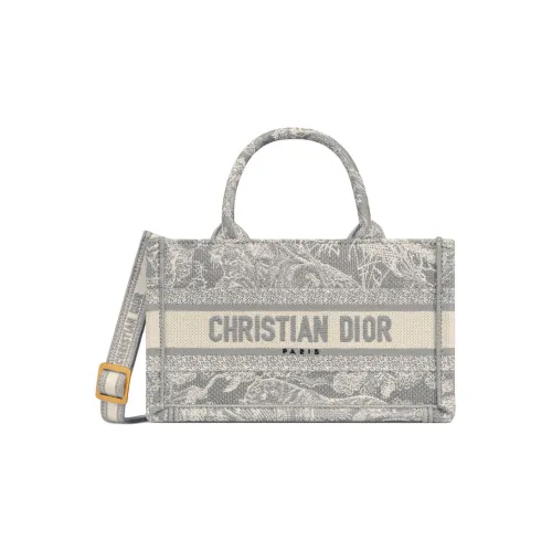 DIOR BookTote Handbags