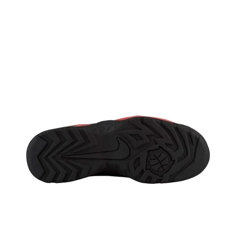 Nike Air Darwin Bulls-5