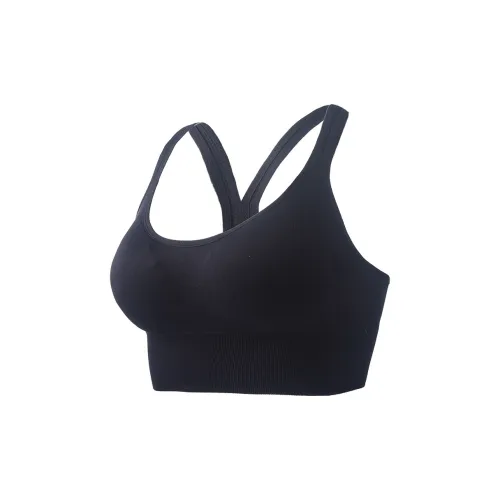 Lanza Women's Bras