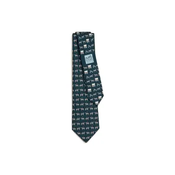 HERMES Ties Men