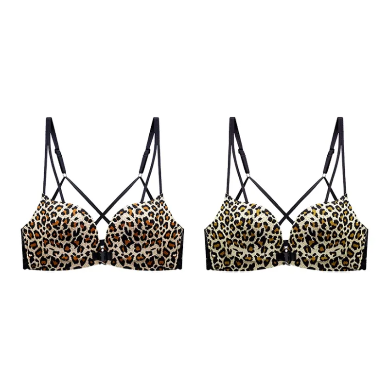 Lanza Women's Bras-14