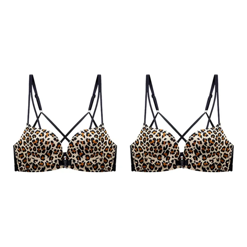 Lanza Women's Bras-11