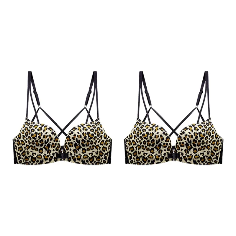 Lanza Women's Bras-12