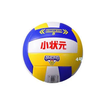 Papaison Volleyball