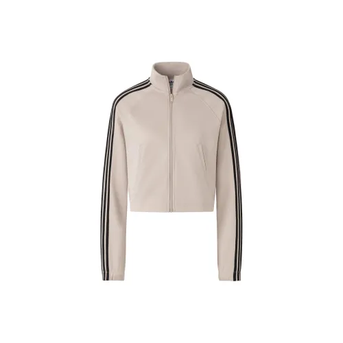 adidas originals Women's Tricot Warm-Up Jacket Beige