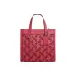 Bag+Dust Bag