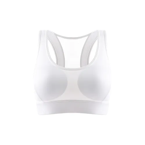 Lanza Women's Bras