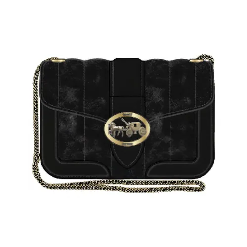 COACH Novelty Crossbody Bags