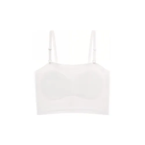 Lanza Women's Bras